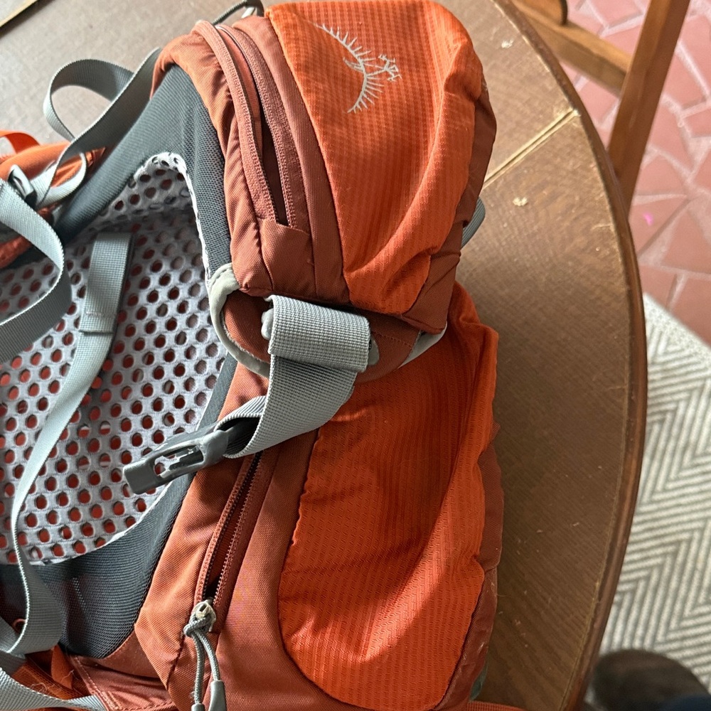 OSPREY Men's Hiking Backpack in Rust Orange - Picture 4 of 16